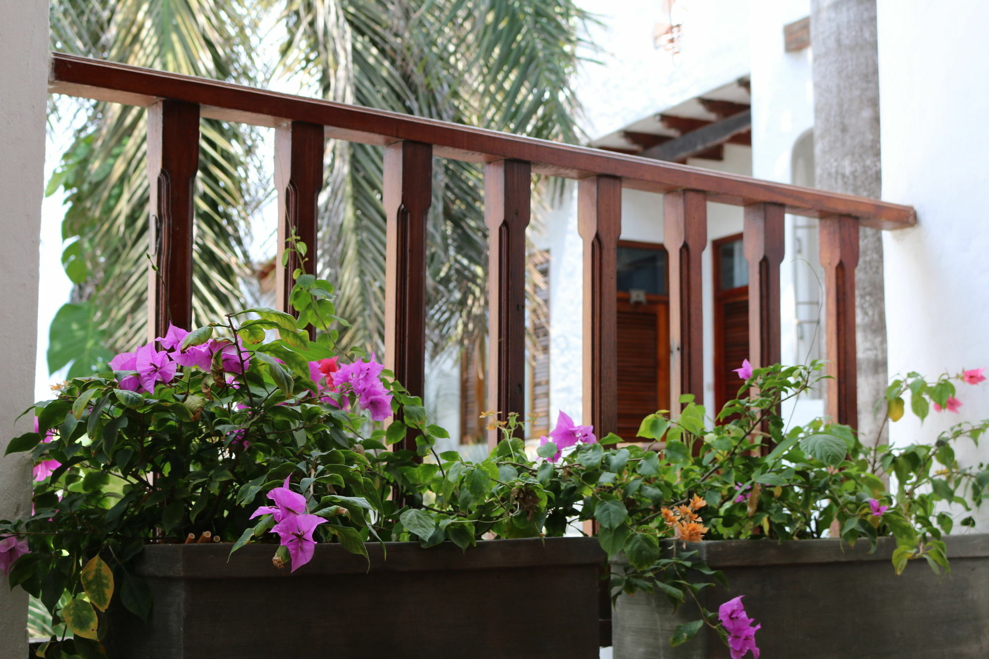 Palenque Casa Hotel By Hmc - Cartagena — Photos 1